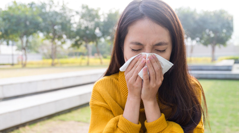 Herbs to Counter Seasonal Allergies